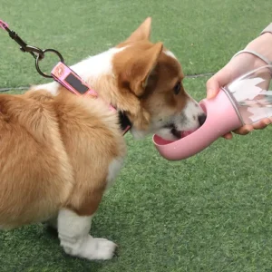 Garrafinha Inovadora PET